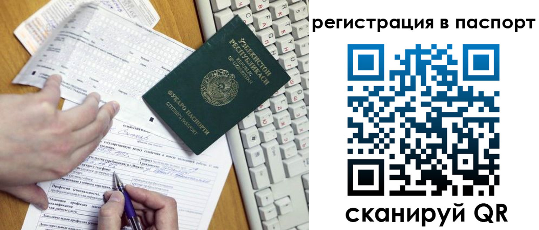 прописка поиск в Бердске